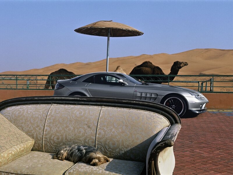 Camel and luxury car in desert