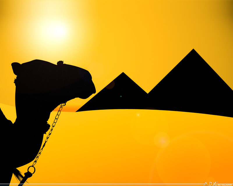 camel and pyramids at sunset