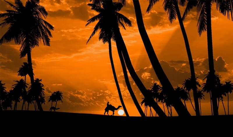 Camel and Rider Silhouette