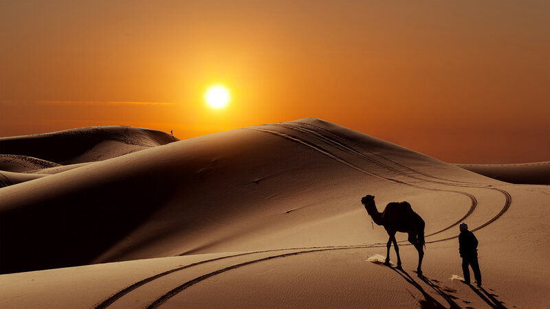 Camel and Traveler in Desert