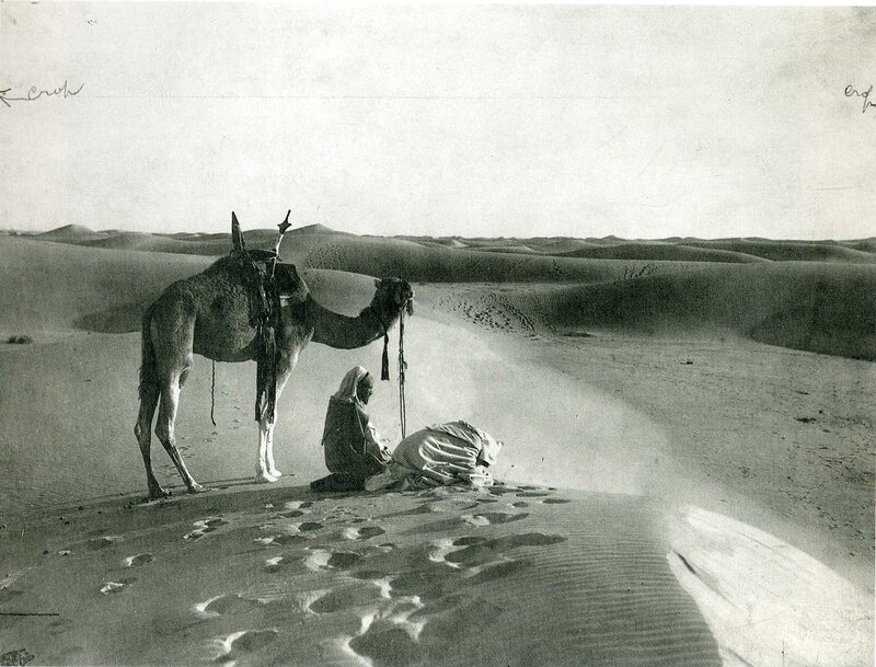 Camel and travelers in desert