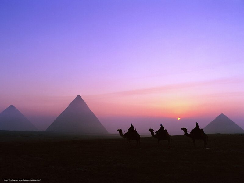 Camel caravan at pyramids
