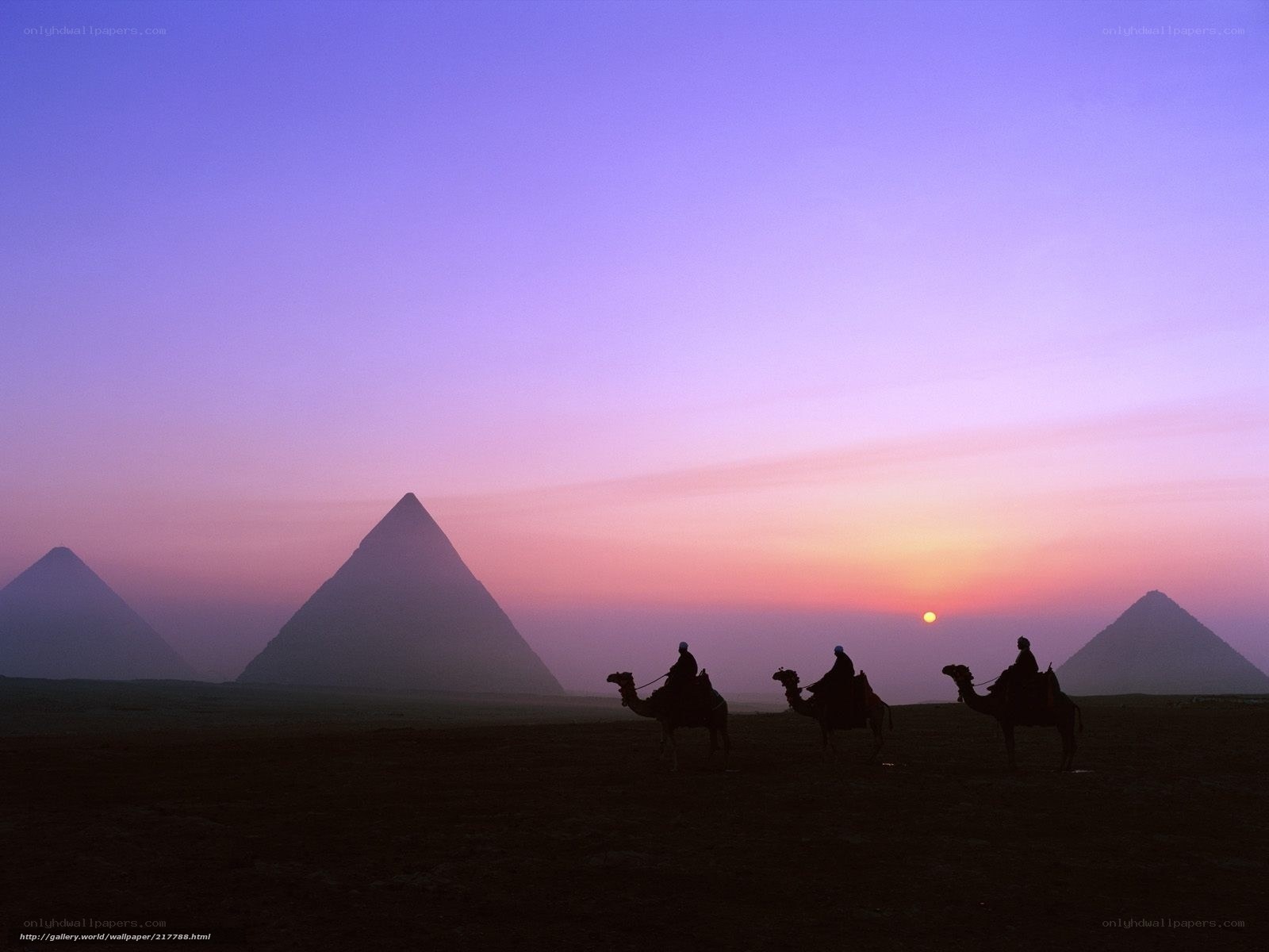 Camel caravan at pyramids