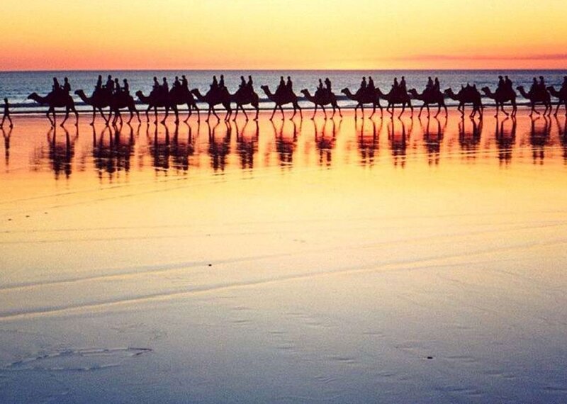 Camel caravan at sunset