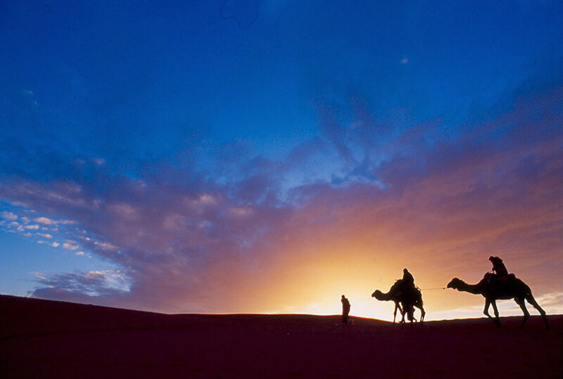 Camel caravan at sunset