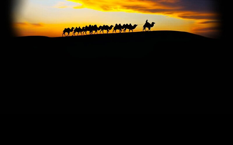 Camel caravan at sunset