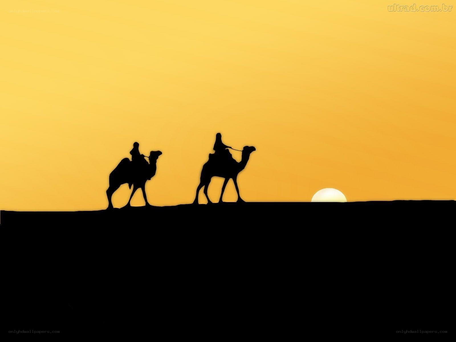 Camel caravan at sunset