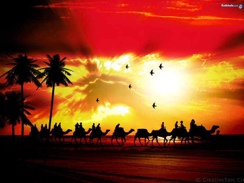 Camel Caravan at Sunset — Red