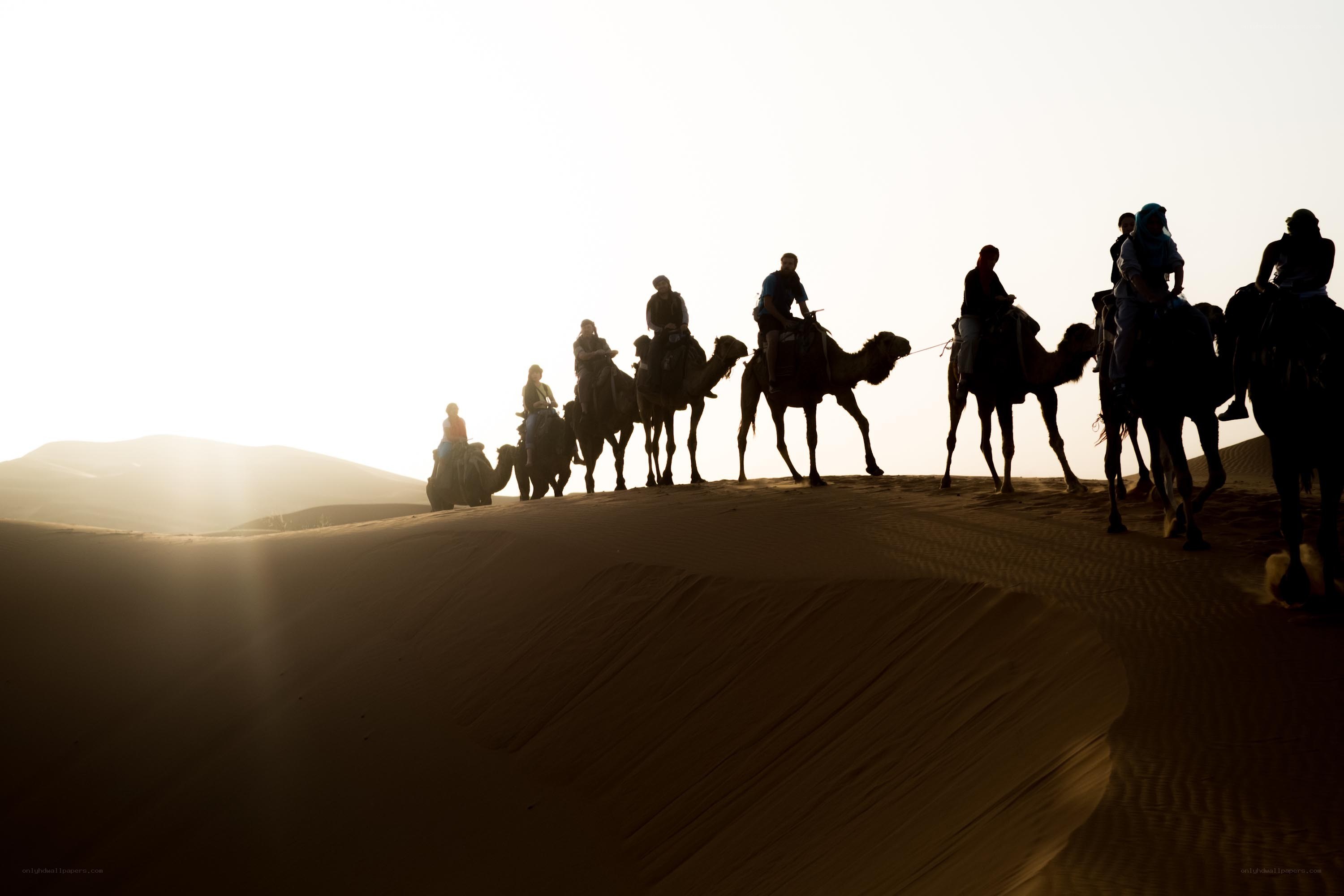 Camel caravan in desert