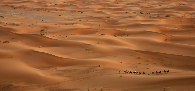 Camel caravan in desert