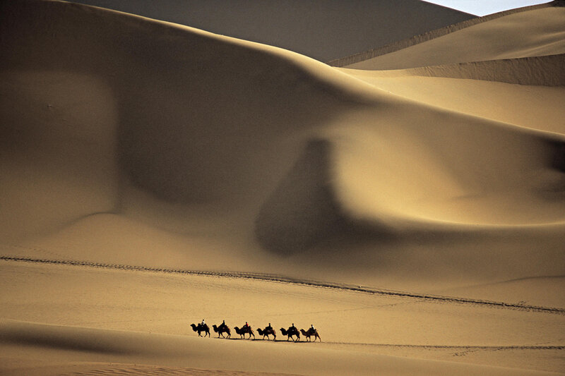 Camel caravan in desert