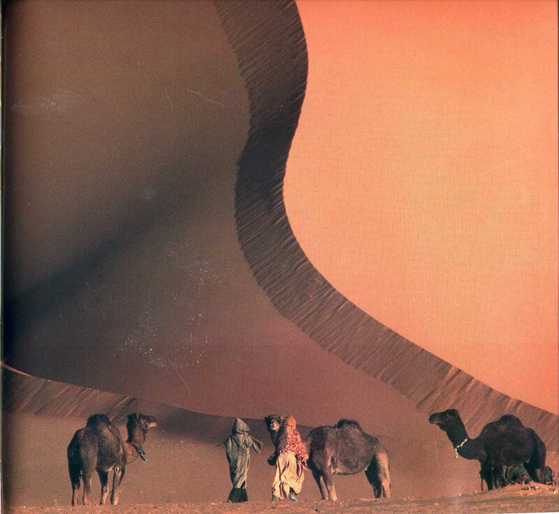 Camel caravan in desert