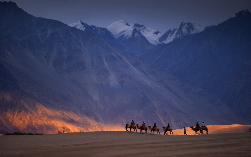 Camel Caravan in Desert — Blue, Dramatic