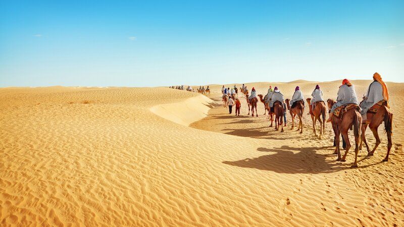 Camel Caravan in Desert — Blue, Serene, Afternoon