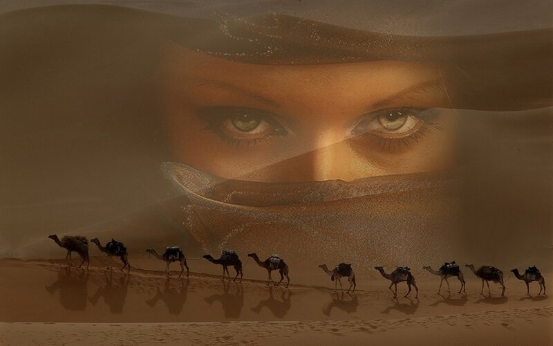 Camel Caravan in Desert — Brown, Dramatic, Sunset, Digital Art