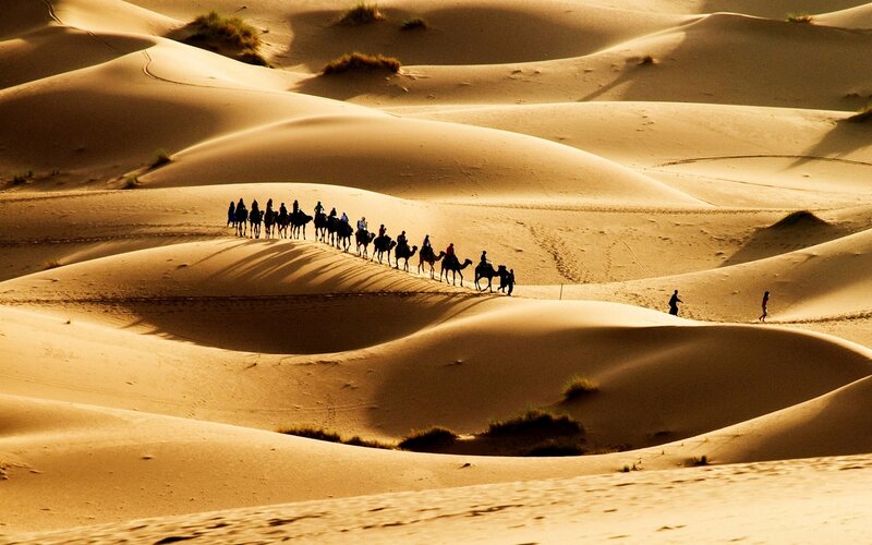 Camel Caravan in Desert — Brown, Dramatic, Sunset, Photograph, Sand Dunes, Camels, People