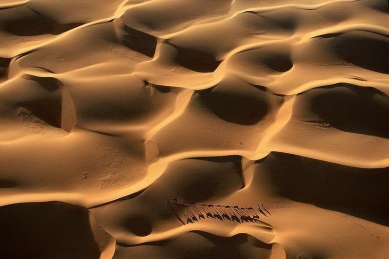 Camel Caravan in Desert — Brown, Dramatic, Sunset, Photograph, Sand Dunes