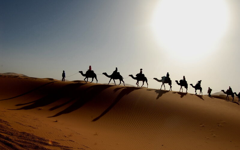 Camel Caravan in Desert — Brown, Dramatic, Sunset, Photograph