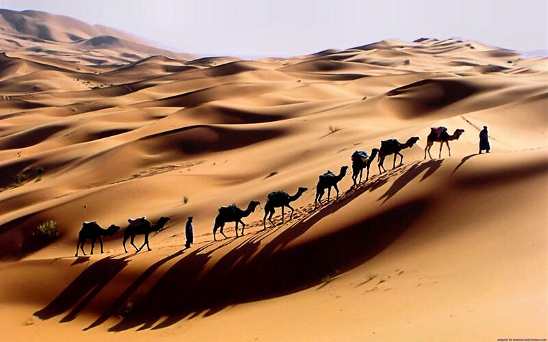 Camel Caravan in Desert — Brown, Dramatic