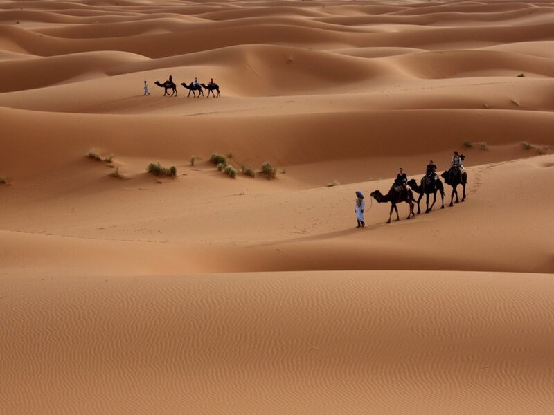 Camel Caravan in Desert — Brown, Serene, Afternoon