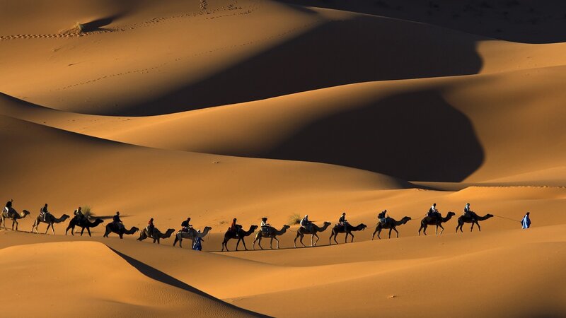 Camel Caravan in Desert — Orange, Dramatic, Sunset, Photograph, Camels