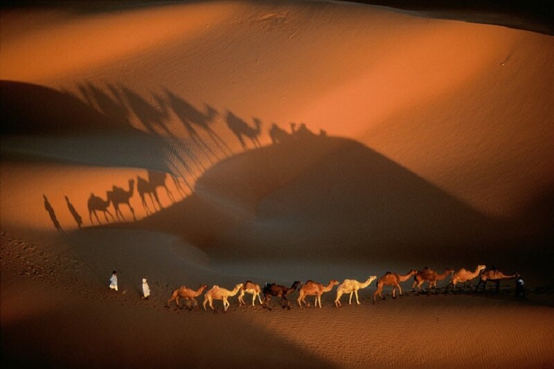 Camel Caravan in Desert — Orange, Dramatic, Sunset, Photograph, Sand Dunes