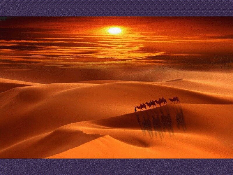 Camel Caravan in Desert — Orange, Dramatic, Sunset