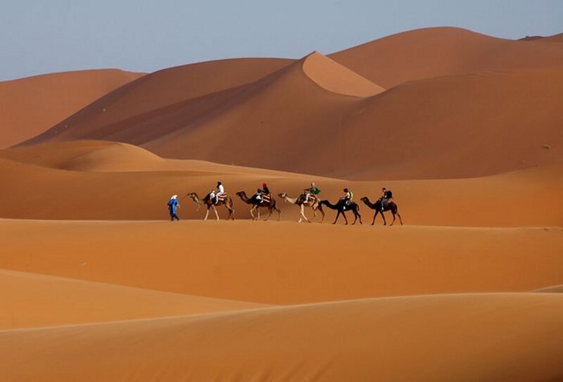 Camel Caravan in Desert — Orange, Serene, Afternoon, Photograph, Camels