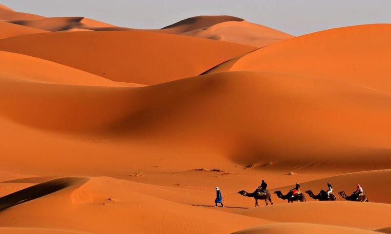 Camel Caravan in Desert — Orange, Serene, Afternoon