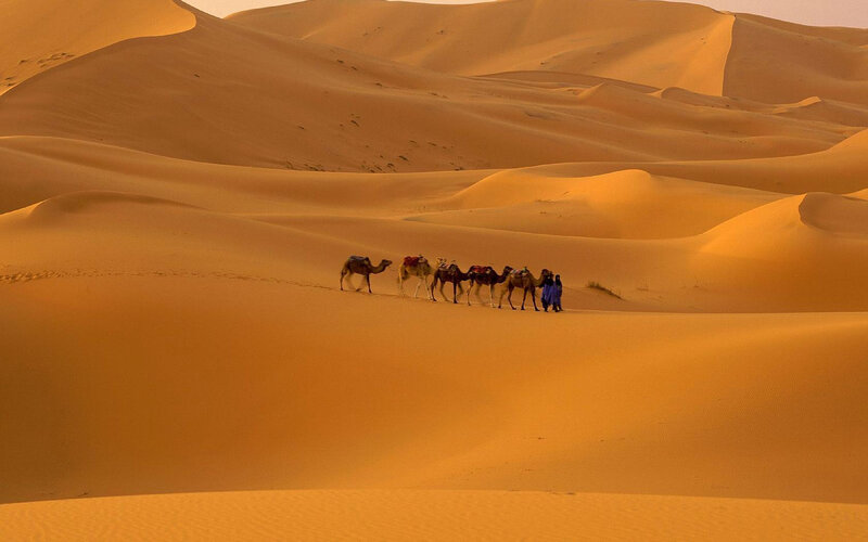 Camel Caravan in Desert — Orange, Serene, Sunset, Photograph, Camels, People