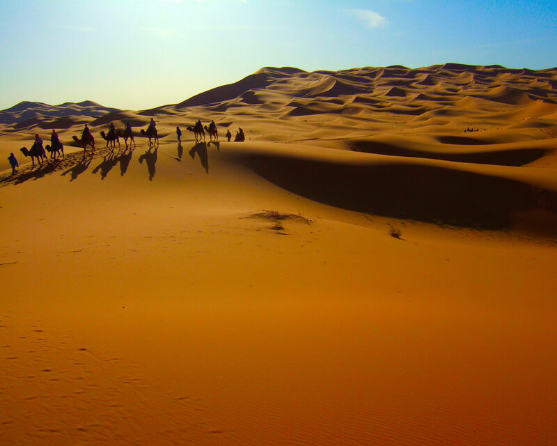Camel Caravan in Desert — Orange, Serene