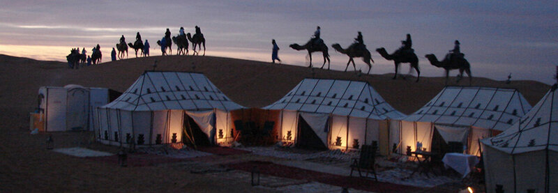 Camel Caravan in Desert — White