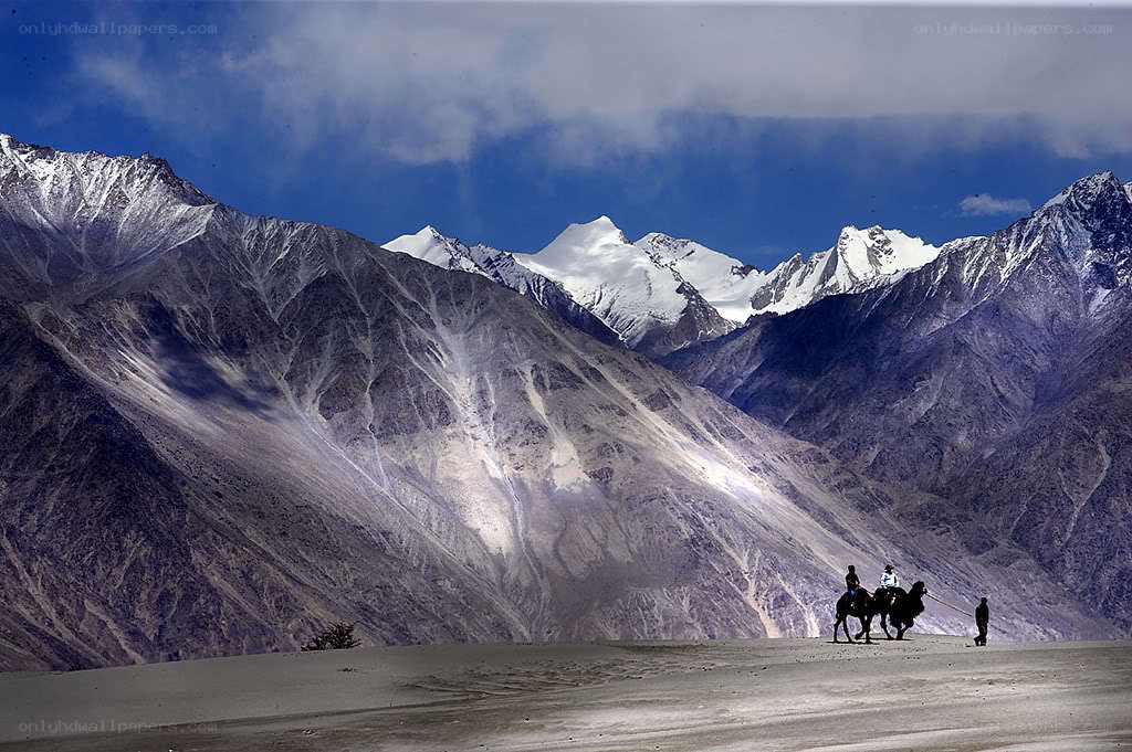 Camel caravan in mountain valley
