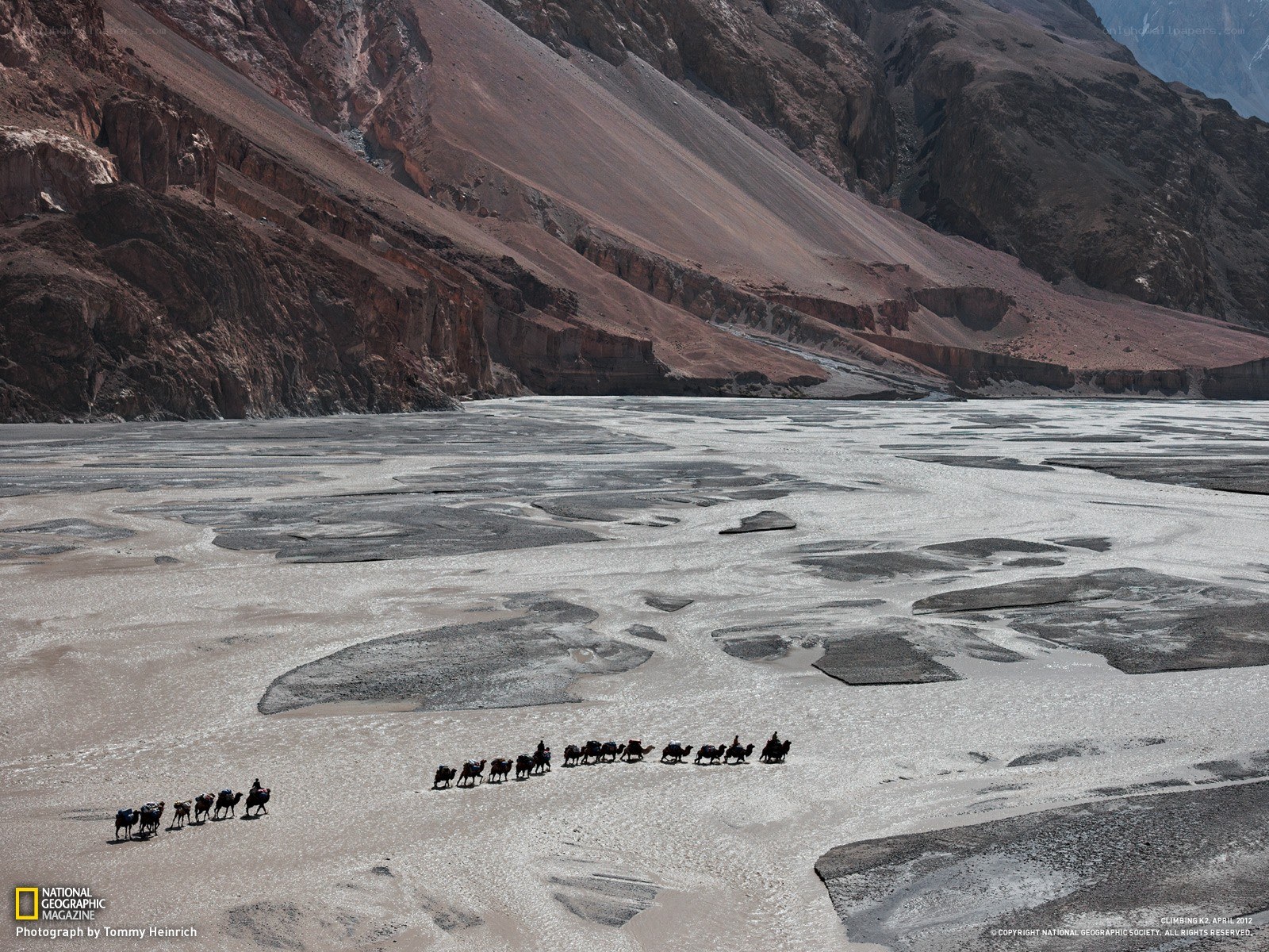 Camel caravan in mountain valley