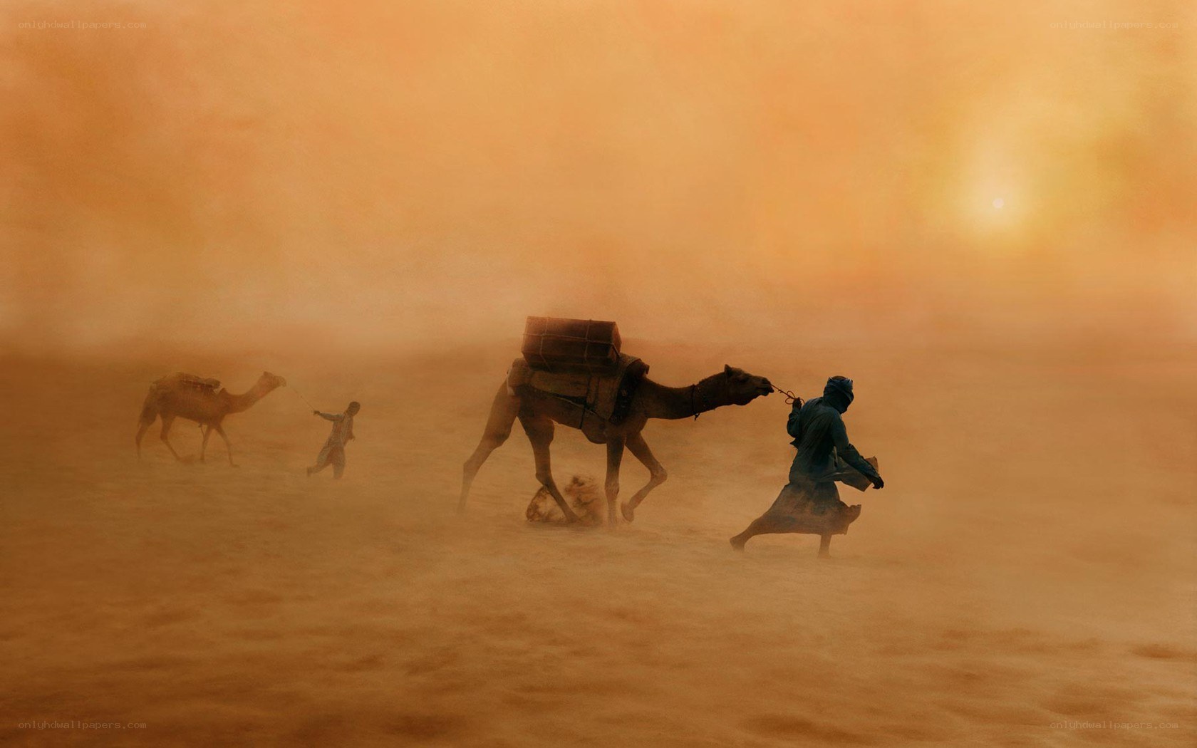 Camel caravan in sandstorm