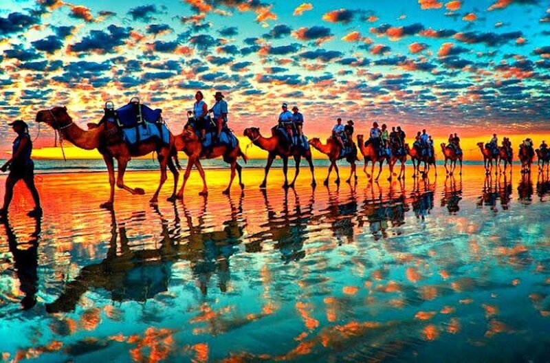 Camel Caravan on Beach — Blue, Dramatic, Sunset, Photograph