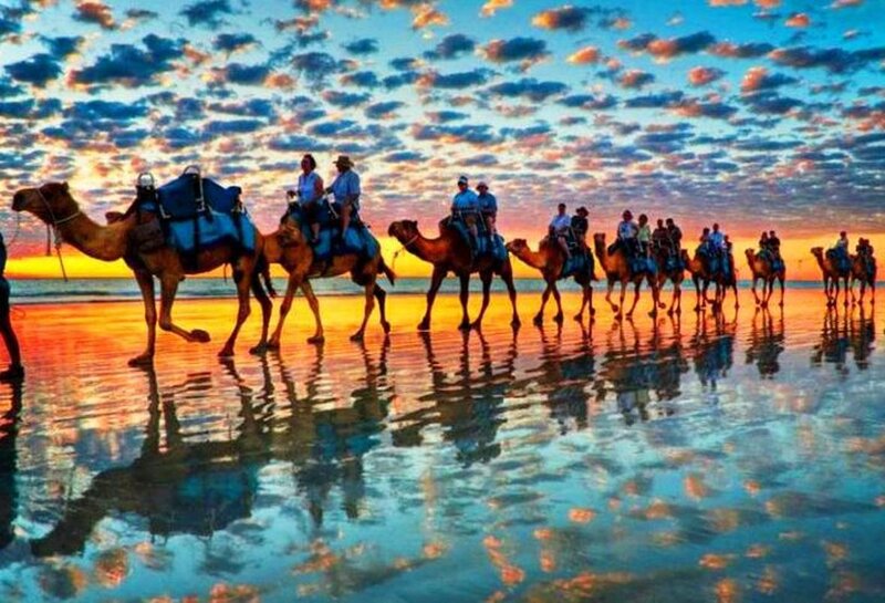 Camel Caravan on Beach — Blue, Dramatic, Sunset