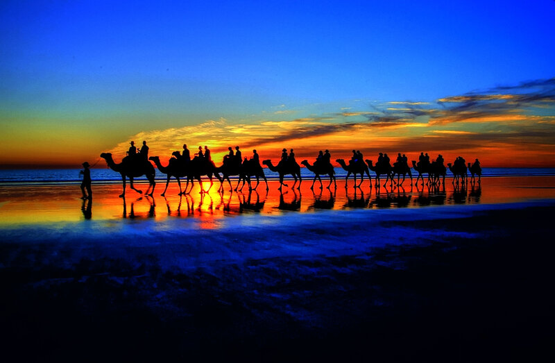 Camel Caravan on Beach — Blue, Dramatic