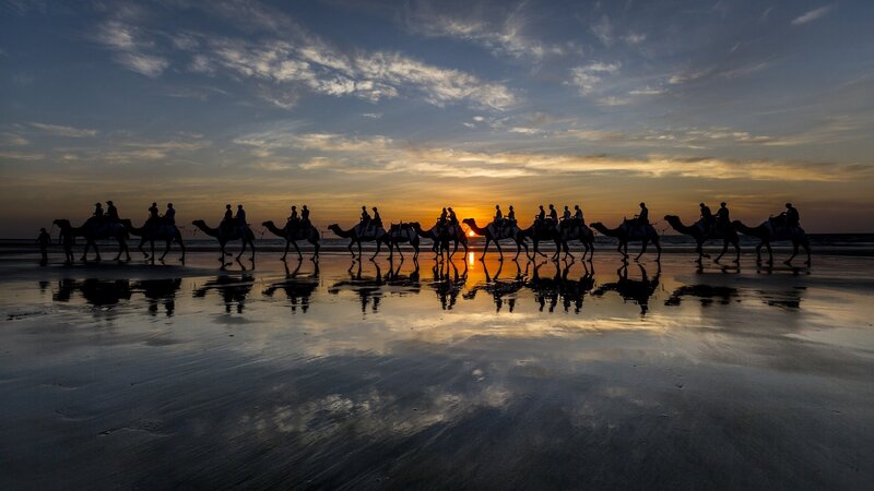 Camel Caravan on Beach — Blue, Serene, Sunset, Photograph