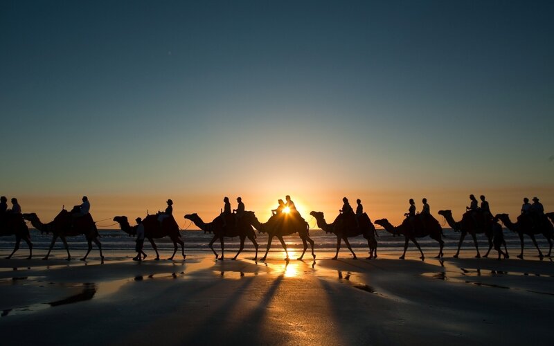 Camel Caravan on Beach — Blue, Serene, Sunset
