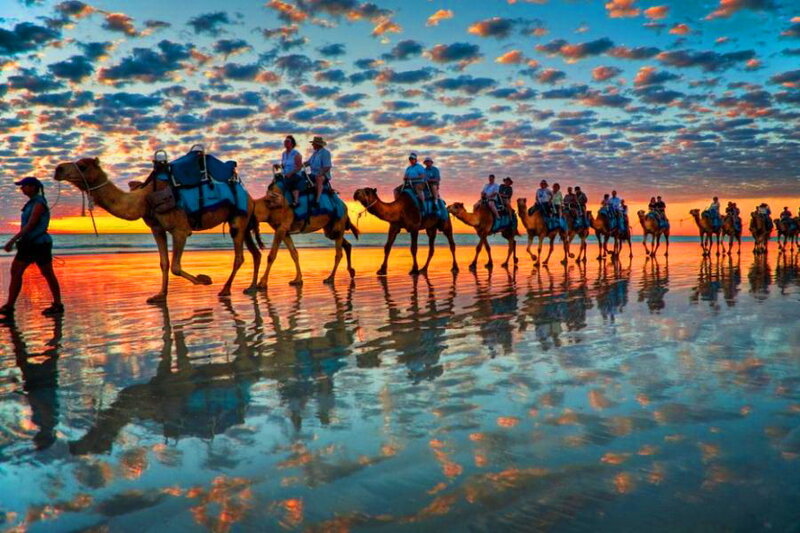 Camel Caravan on Beach — Blue