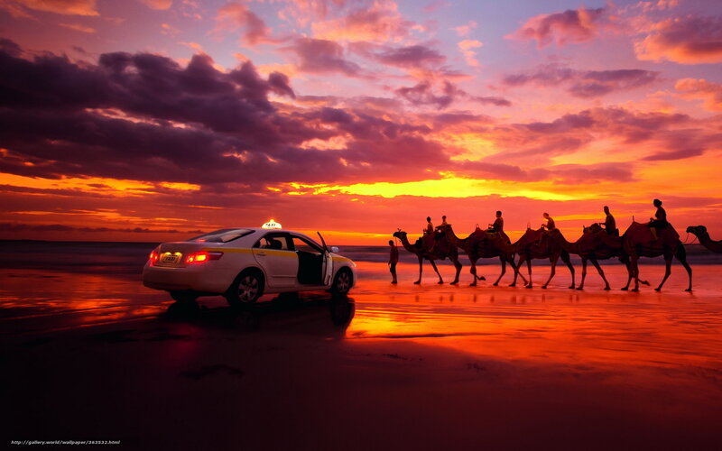Camel Caravan on Beach — Orange, Dramatic
