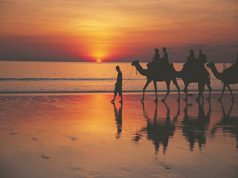 Camel Caravan on Beach — Orange, Serene