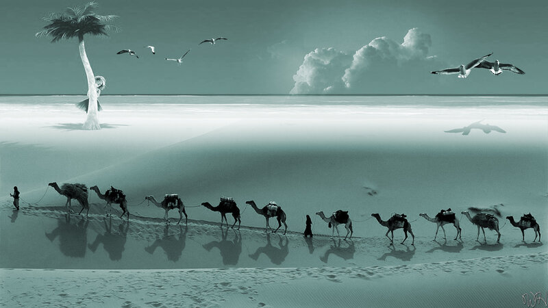 Camel Caravan on Beach — Teal