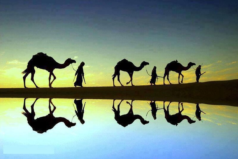 Camel Caravan on Dune — Blue