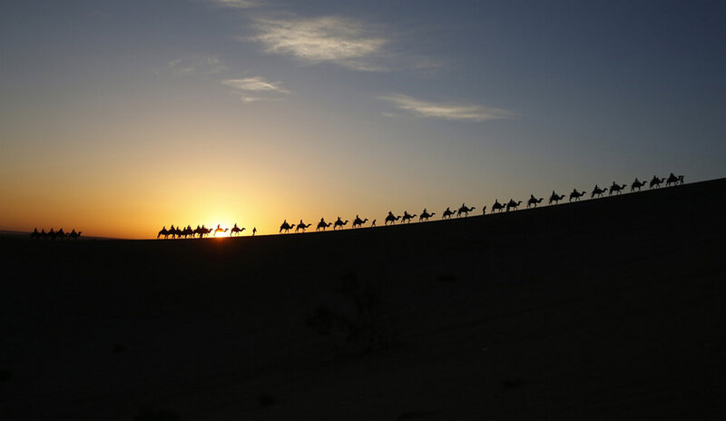 Camel Caravan on Dune
