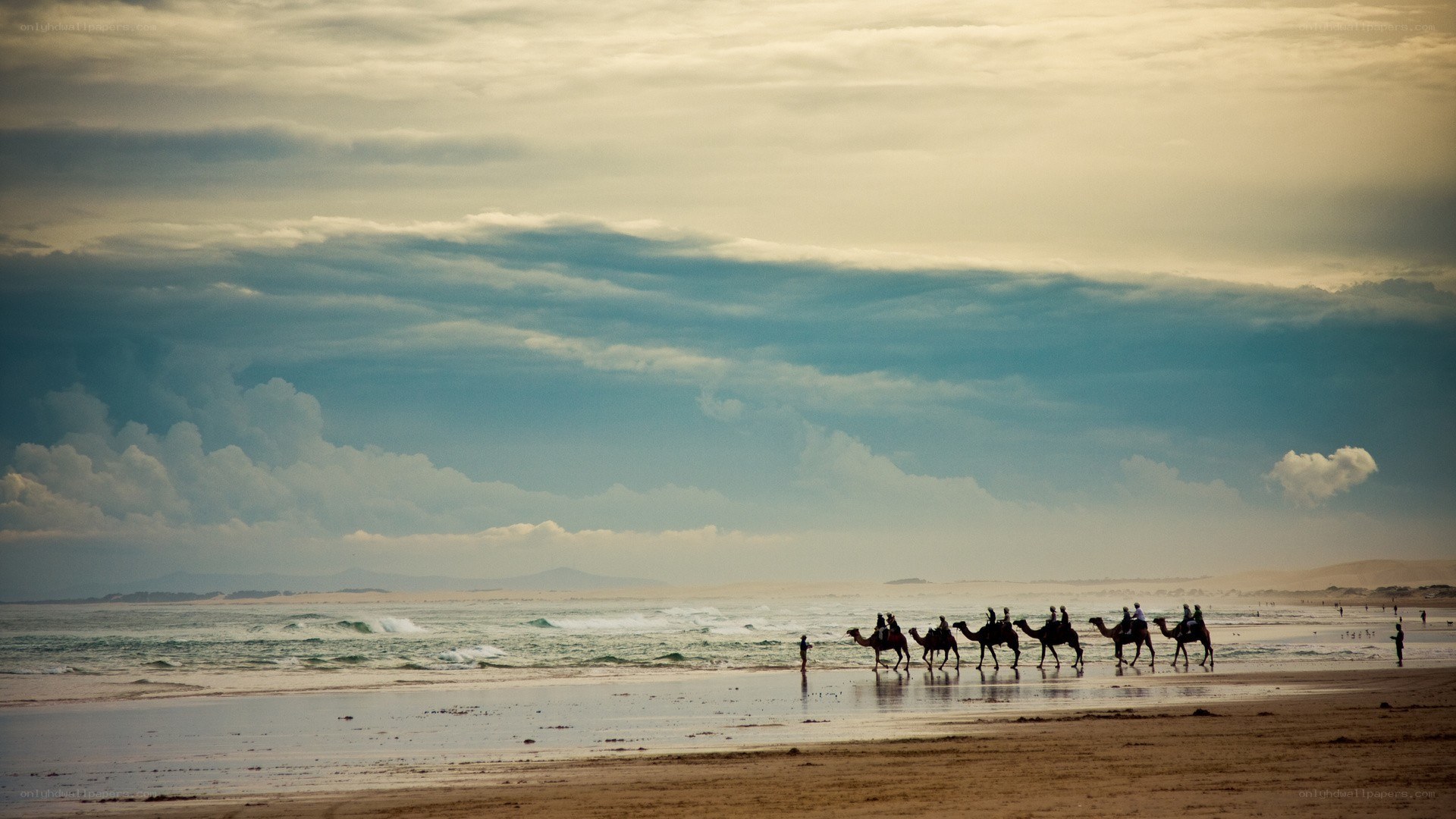 Camel caravan on the beach