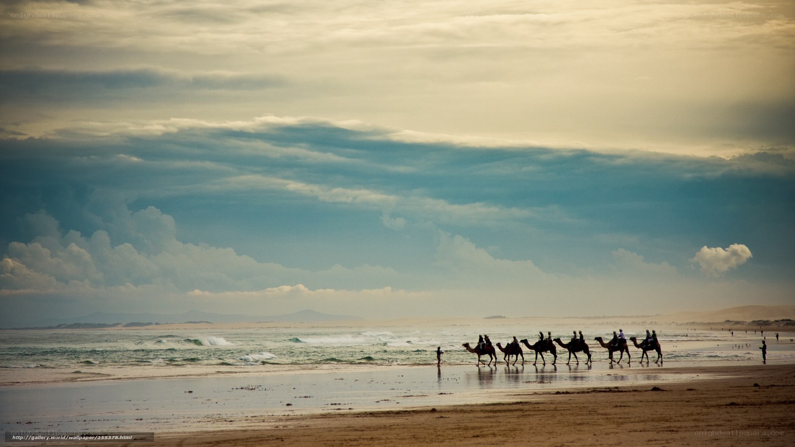 Camel caravan on the beach