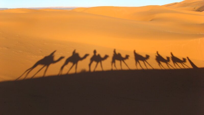 Camel Caravan Shadows