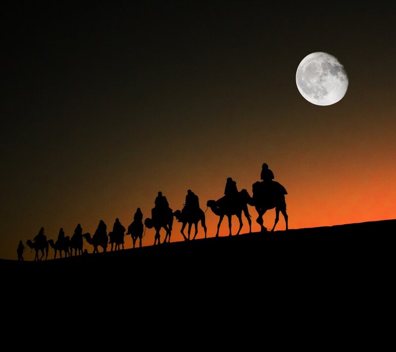 Camel Caravan Silhouette — Black